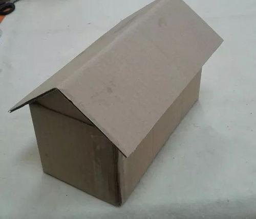 创作发明 教你用废弃的纸盒制作漂亮的纸房子图片解析