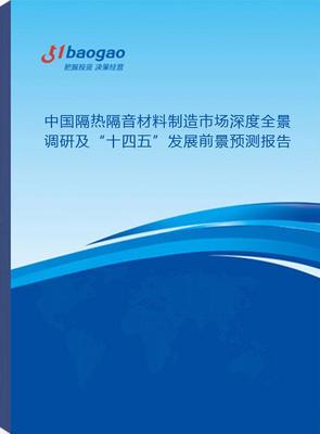 2024-2029年中国隔热隔音材料制造市场深度全景调研及“十四五”发展前景预测
