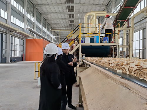 板盟店饰材 以华东为基，辐射全国，打造高品质家居建材隔热隔音解决方案