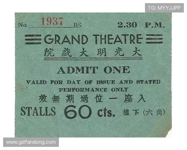 Filmlover：当热爱遇上光影，一场永不落幕的视听盛宴