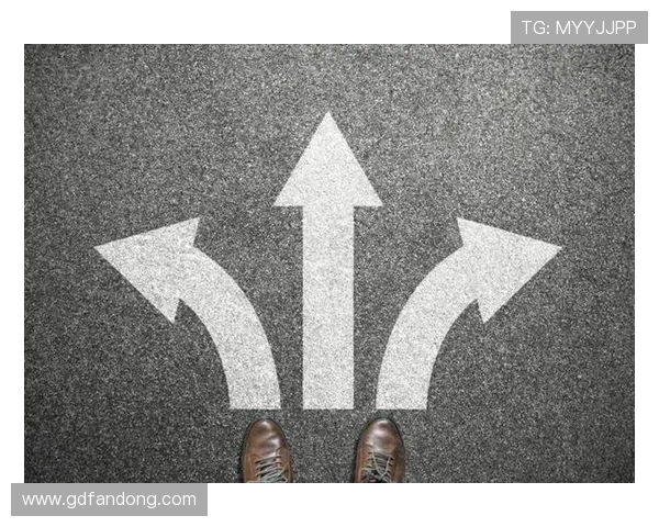 《未来的选择》：一场关于人生岔路的浪漫追寻