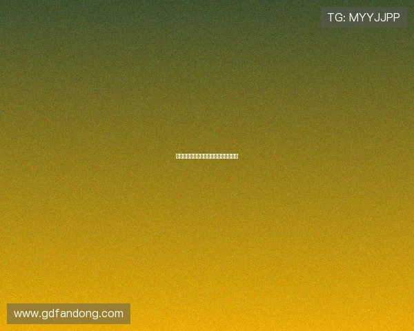 我们的不归路：抉择、代价与未竟的远方